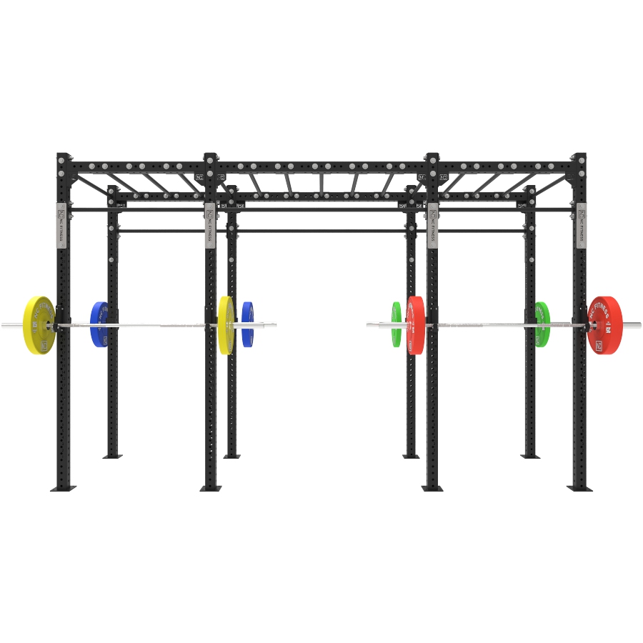 Free standing best sale gym rig