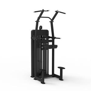 FZ Series 2 Chin/Dip Assist Machine