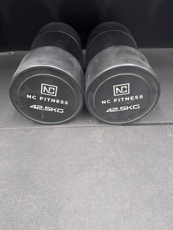 Pu Dumbbells 42.5kg PAIR **OLD DESIGN** - Uncategorised 8